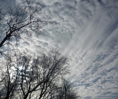 This_morning_in_montreal