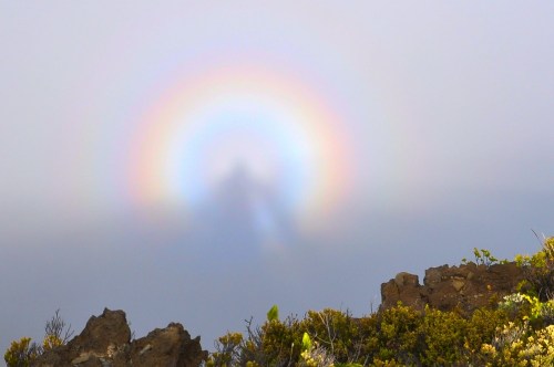 Photo_sylvie_gadbois19