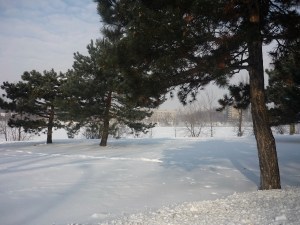 15- Rivière embrumée